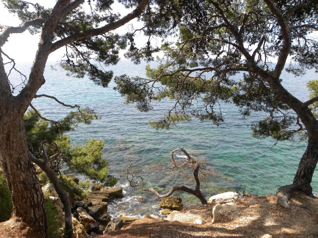 Sun & Sea Apart 방돌 외부 사진